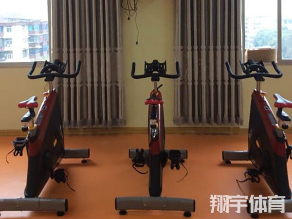 室內(nèi)健身器材