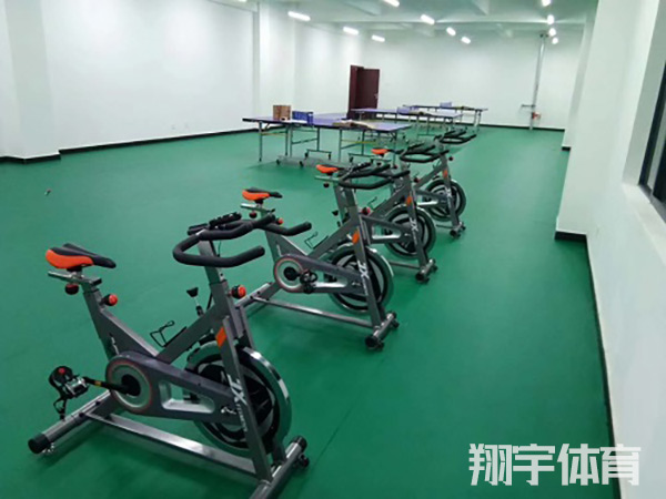室內(nèi)健身器材